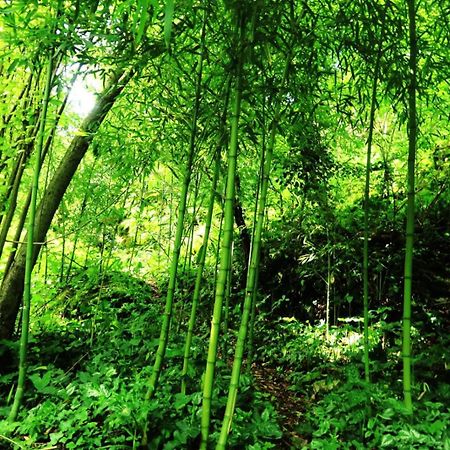 Gite L' Embrassement Le Luquet Saint Beauzeil 82 Kültér fotó